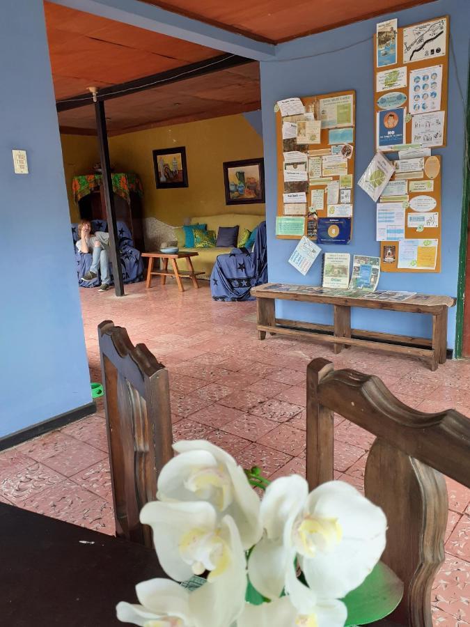 Montana Linda Guest House Orosí Exterior foto